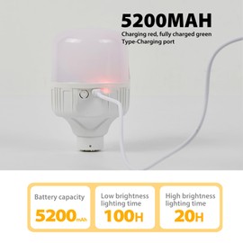 PASSICA DECOR Rechargeable LED Bulbs Set of Two with Remote, 12 RGB Colors & 3 Light Modes, Dimmable Battery Operated Bulbs, 10 Brightness Levels, Timer Function, 2 Pack for Bedroom, Living Room,