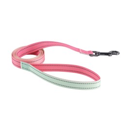 ECHOBTEN-STORE Soft nylon material dog leash,Equipped with reflective lines, Durable metal buckles, Suitable for small or medium-sized dogs, pattern full of bright colours (Gradient Pink, S)