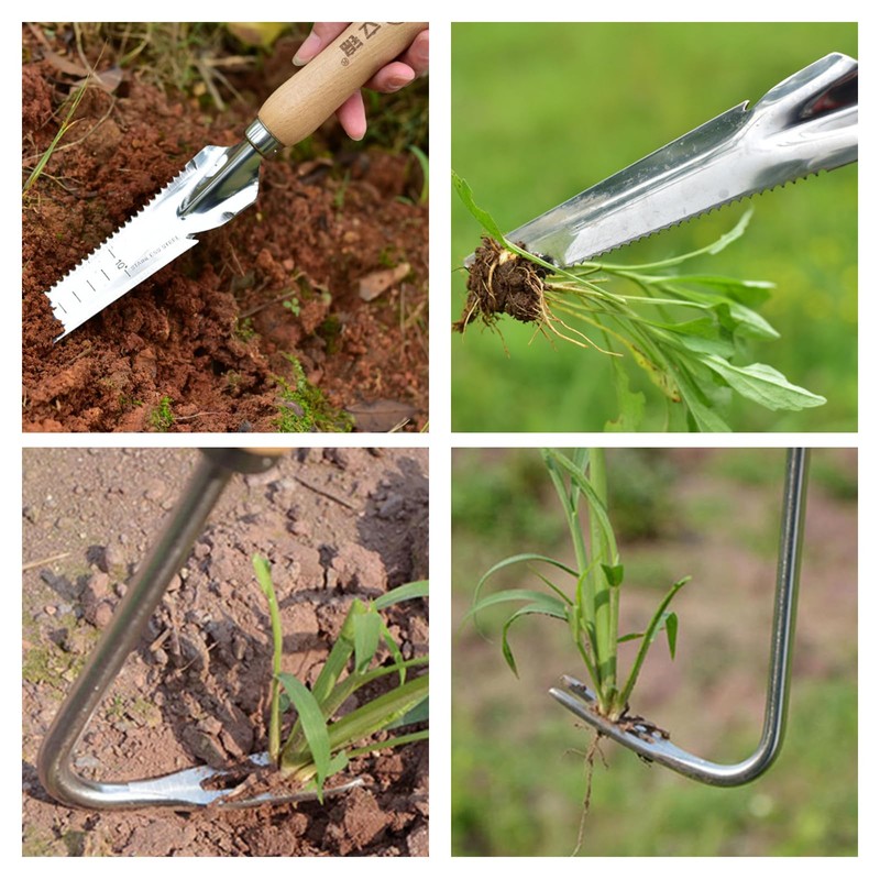 DragonX2 Pack of 2 Root Weeder with Handle, Stainless Steel