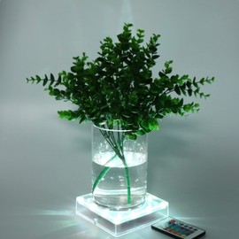 LARDUX Pack of 4 Square LED Light Base with Remote -5 Inch Multicolor Display Pedestal Light Base for Glass Crystal Sculpture Vase Decoration - Charging USB or Battery Powered