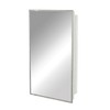 Plexon Stainless Steel Framed Cabinet, 16 in x 26 in,