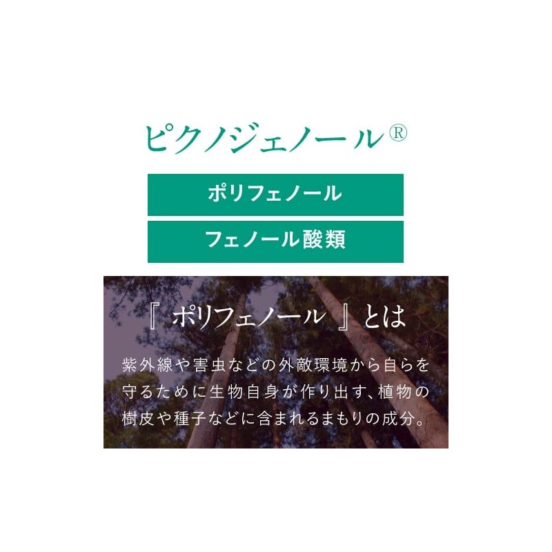 エクセレントメディカル ピクノジェノール エクセレントプラス 120粒