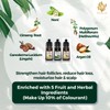 WiseStrand KKM Approved WiseStrand Natural Hair Dye Colour Shampoo |