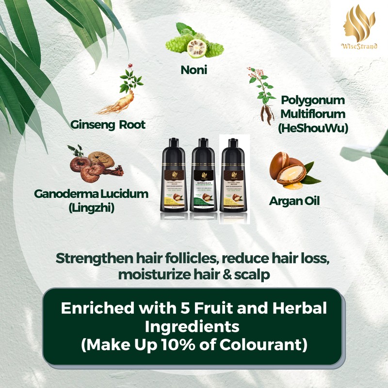 WiseStrand KKM Approved WiseStrand Natural Hair Dye Colour Shampoo |