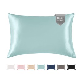THXSILK Natural 100% Mulberry Silk Pillowcase for Hair and Skin, 25 Momme, Standard Size 20"x26" Silk Pillow Case, Soft Smooth Cooling Premium Grade 6A+ Silk Pillow Cover with Zipper(Light Blue, 1pc)