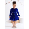 JEELLIGULAR Toddler Baby Girl Dress Long Sleeve Fall Winter Velvet