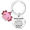 Tihnvk Positive Axolotl Gifts Axolotl Keychain For Friends Emotional Support