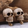 Arola Skull Wall Hooks Key Hooks Decorative Wall Mount Key