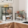 Golpart Small 2 Tier Shelves Storage Wire Shelving Unit Metal
