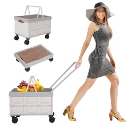 JAYGOVAN Collapsible Wheeled Crate with Lid Portable Rolling Plastic Crate Handcart Shopping Trolley Tool Box Basket on 4 Rotate Wheels 55L/77 lbs Capacity for Grocery, Office, Luggage (Grey)