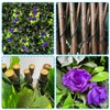 Artificial Expandable Ivy Privacy Fence Screen,Adjustable Size,Dense Leaf Panel,Perfect for