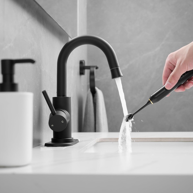 Black Bathroom Sink Faucet with Pull Out Sprayer for 1
