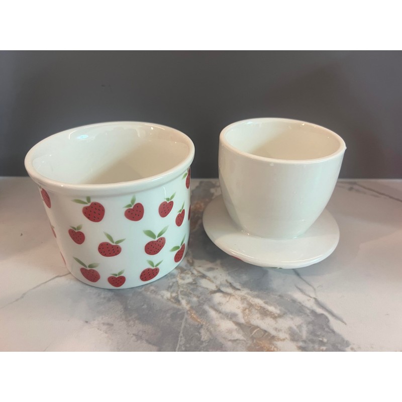 French Butter Crock for Counter With Water Line French Butter