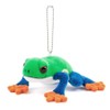 [COLORATA] Carolata Plush Mascot, Red-headed Frog (Realistic Amphibian / Chain
