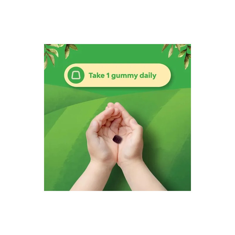Natures Craft Gomitas Saúco Niños Vitamina C Zinc 90 U
