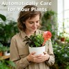 Self Watering Globes for Plant, Large Glass Outdoor Plant Watering