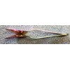 Musical Spoons Percussion Pro Instrument