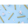 Natracare Regular Organic Cotton Tampons with Applicator, 16 Count (Pack