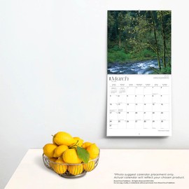 Oregon Wild & Scenic | 2024 12 x 24 Inch Monthly Square Wall Calendar | BrownTrout | USA United States of America Pacific West State Nature