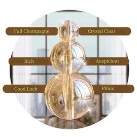 Rekelola Crystal Beaded Curtain for Doorways,Hanging Glass Door Beads Curtains for Windows Room Divider Bedroom Coffee House Bar (25 Strings Champagne)