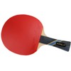 MAPOL 2 Pack of 4 Star Professional Ping Pong Paddle