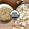 Organic White Popcorn Kernels 6 lb Bag | Non-GMO &