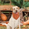 Thanksgiving Dog Bandanas Fall Leaves Reversible Triangle Bibs Dog Scarfs
