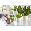 Miracle-Gro Water Soluble All Purpose Plant Food 1.5 lbs.