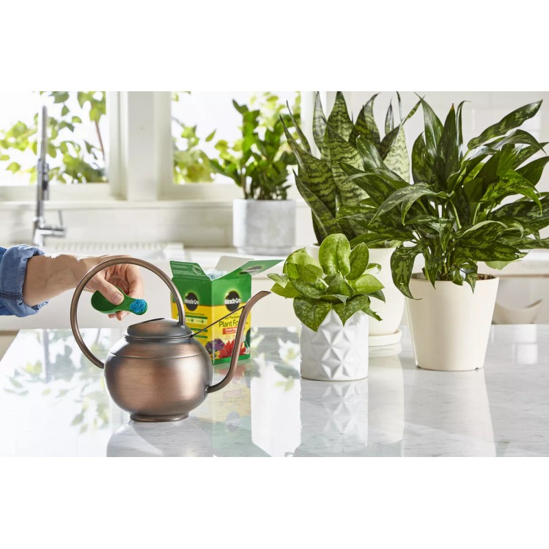 Miracle-Gro Water Soluble All Purpose Plant Food 1.5 lbs.