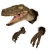 Dedjgoo 1 PCS Velociraptor Statue Wall Resin Mount Dinosaur Sculpture