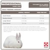 Purina | Professional Rabbit Feed | 50 Pound Bag