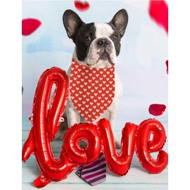 Valentine's Day Dog Bandanas, I Love You Red Heart Double Sided 2 Pack Holiday Puppy Bandanas Dog Kerchief Gifts (03)
