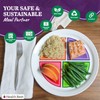 Health Beet Choose MyPlate Portion Control Plate – 4 Flat