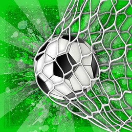 20 Napkins Football in Net Table Decoration Decoupage Decoupage 33 x 33 cm