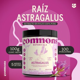 Commons Hongos Adaptógenos - Astragalus - Extracto en Polvo 100 gr - Suplemento Alimenticio - Apoya el Sistema - 100% Orgánico