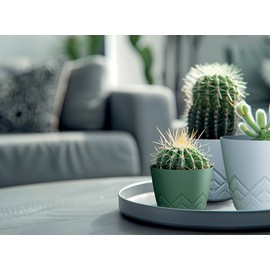 Tymar Flower Pot - Stylish Planter with Modern Pattern, Pack of 2, Flower Planter_Areco (Concrete, Diameter 14 cm)