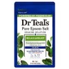 Dr. Teal's Pure Epsom Salt Soaking Solution Bath Salt Eucalyptus & Spearmint, 1.36kg, 1 piece / 닥터틸즈 퓨어 엡섬솔트 소킹 솔루션 입욕제 유칼립투스 앤 스피아민트, 1.36kg, 1개