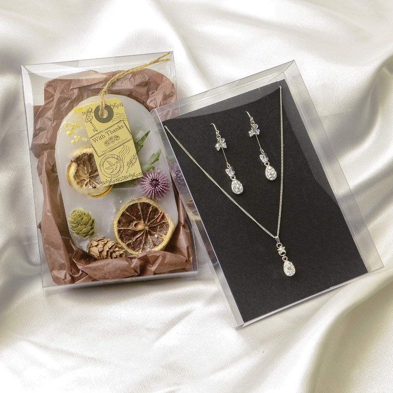 Sasagawa Original Works Transparent Box, Postcard Size, 5 Piece Set,