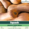 Squash Winter Tahiti Melon Seeds – Popular Large Fruited Type