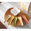 Pacoon Okara, Beet, Igsa, Matcha, Pumpkin, 10 Pieces, 5 Types