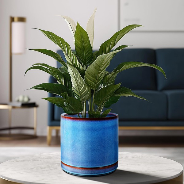 EFISPSS 8 Inch Pots for Plants, Ceramic Plant Pots with