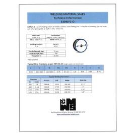 Blue Demon 309LFC-O X .035 X 1LB Spool stainless steel flux core gasless welding wire