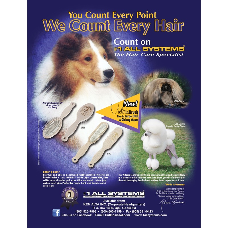 #1 All Systems D908 - Victoria Pin Brush