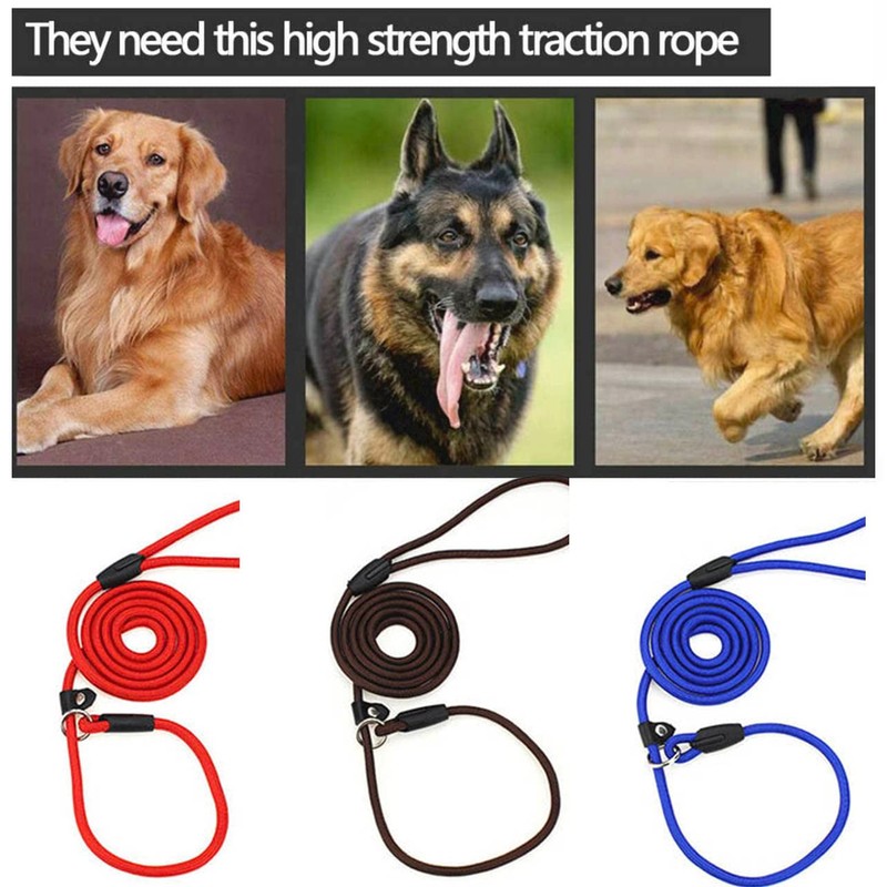 AIMALL Dog Training Correction Leash Lead Cesar Puppy Pets Millan