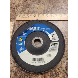 Merit Sanding Disc for Masonry, Ceramics&Compo