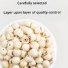 WEIJUEJIYI Natural Dried Lotus Seeds 250g Coreless peeled white lotus