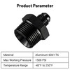 EVIL ENERGY 6AN Male Flare to 3/4" NPT Pipe Fitting