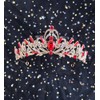 Dgasin Retirement Party Set - Red Tiara & Sash for