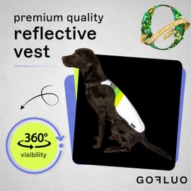 GOFLUO Moonlight Reflective Dog Coat - Northern Light Design - Size XL – High-Visibility Vest for Dogs – Ideal for Night Walking, Outdoors Adventures