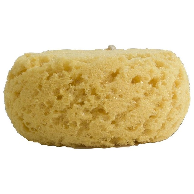 Evriholder Esponja Corporal de Espuma para Exfoliante Grande para una